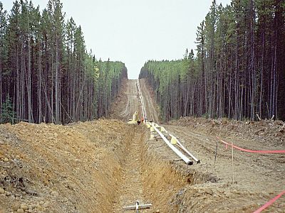 Pipeline Gallery photo 47