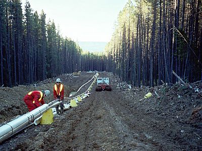 Pipeline Gallery photo 46