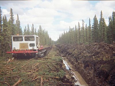 Pipeline Gallery photo 48
