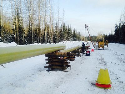Pipeline Gallery photo 28
