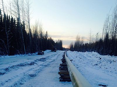 Pipeline Gallery photo 33